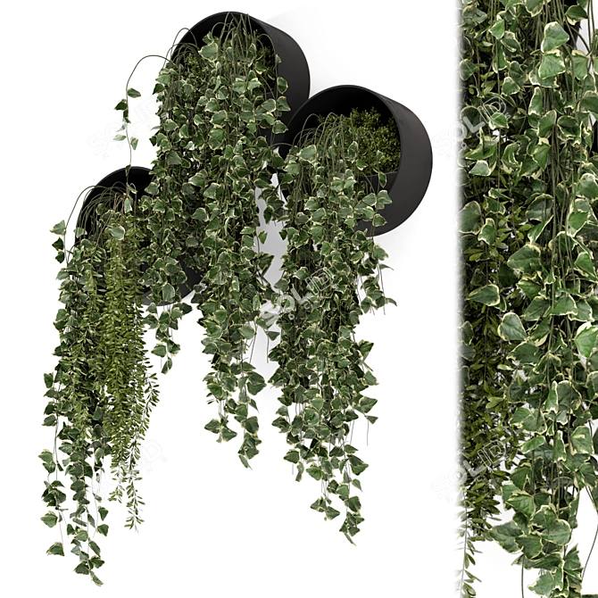 Modern Indoor Hanging Plants Set 3D model image 1