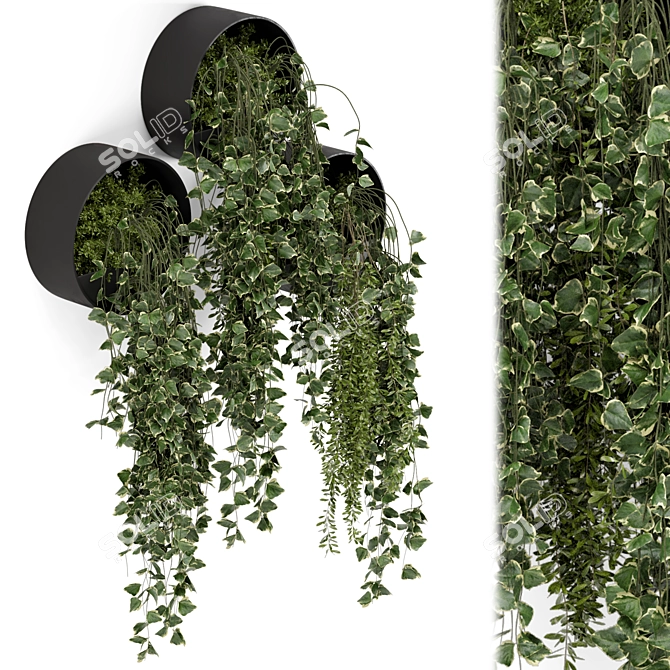 Modern Indoor Hanging Plants Set 3D model image 3