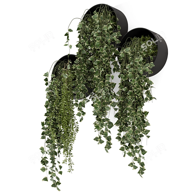 Modern Indoor Hanging Plants Set 3D model image 4