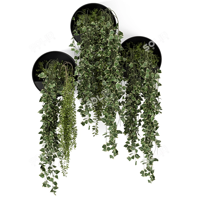 Modern Indoor Hanging Plants Set 3D model image 5