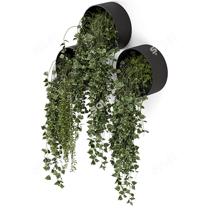 Modern Indoor Hanging Plants Set 3D model image 6