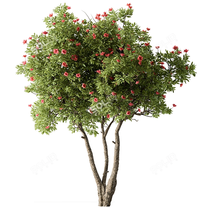 Rhododendron Blossom Tree Collection 287 3D model image 1