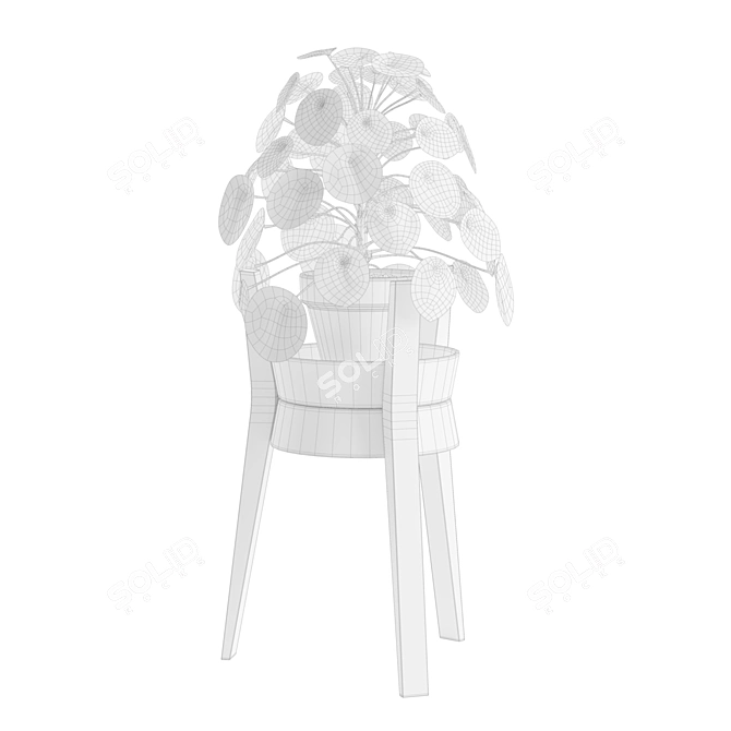 Modern Pilea Wood Stand Display 3D model image 3