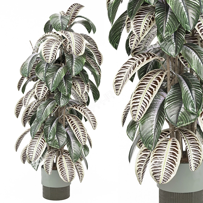 Modern Indoor Plants Collection 3D model image 1