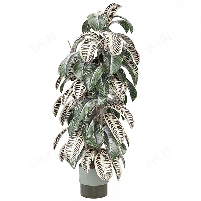 Modern Indoor Plants Collection 3D model image 5