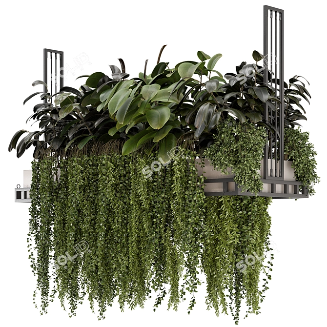 Metal Box Indoor Hanging Plants 3D model image 1