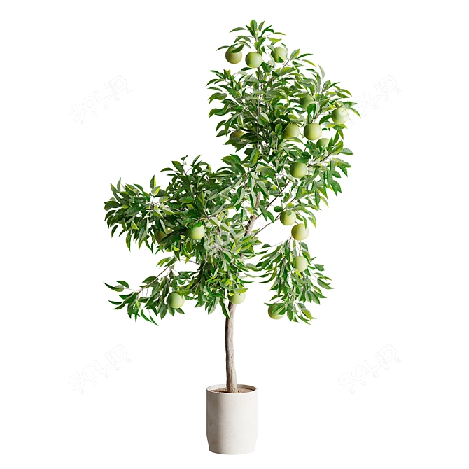 Artificial Orange Tree Pair, Indoor/Outdoor 3D model image 2