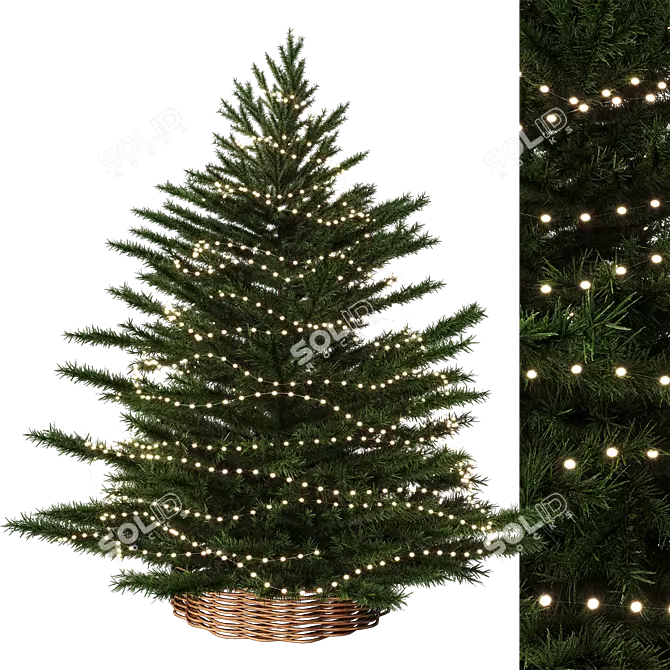 Festive Fir 3D Model 3D model image 1