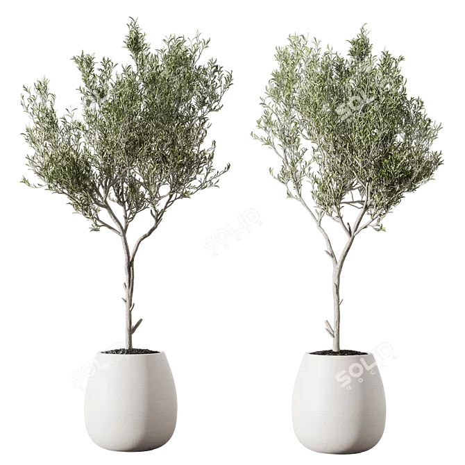 Metal Planter Set with Live Plants 3D model image 2