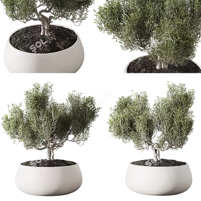 Metal Planter Set with Live Plants 3D model image 3