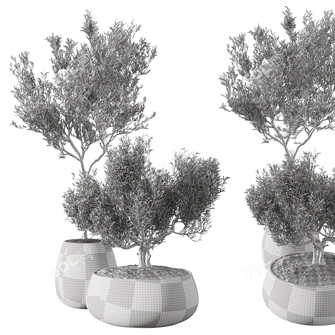 Metal Planter Set with Live Plants 3D model image 4