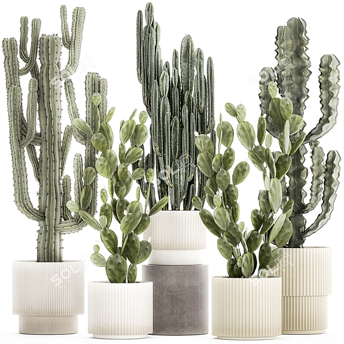 Desert Cactus Collection 1468 3D model image 1