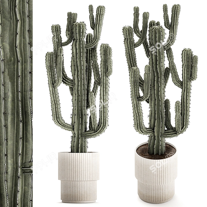 Modern Saguaro Cactus Set 3D model image 1