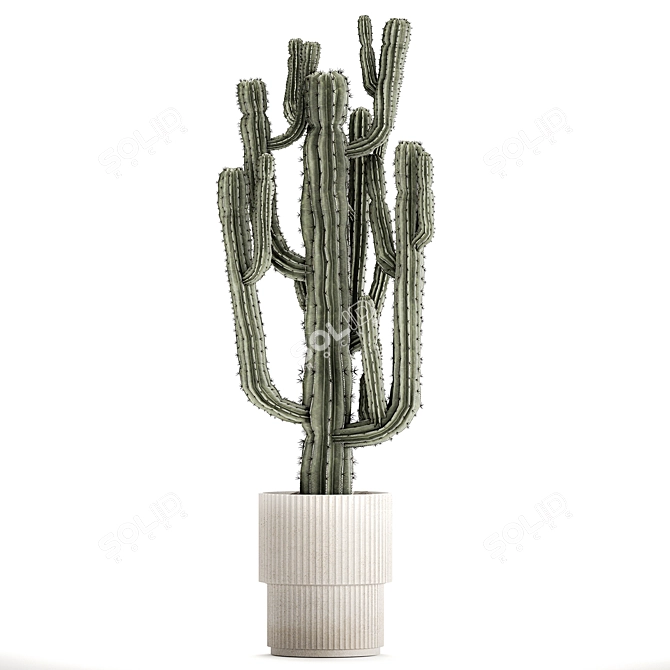 Modern Saguaro Cactus Set 3D model image 2