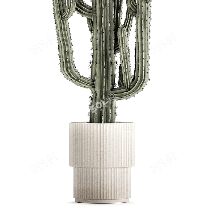 Modern Saguaro Cactus Set 3D model image 4