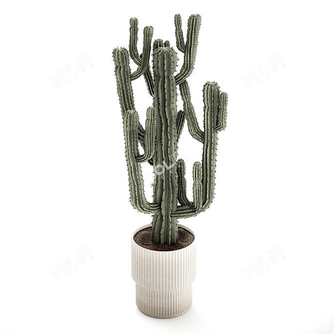 Modern Saguaro Cactus Set 3D model image 5