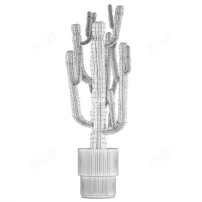 Modern Saguaro Cactus Set 3D model image 7
