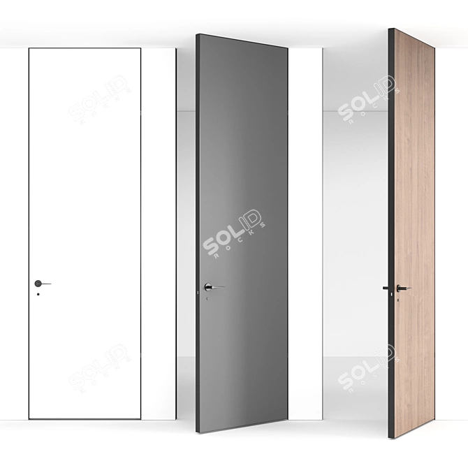 Title: Ceiling-height Hidden Doors 3D model image 1