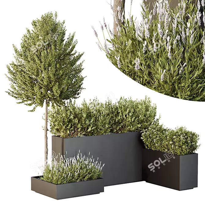 Greenery Garden Bushes Tree Pack 3D model image 1