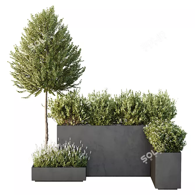 Greenery Garden Bushes Tree Pack 3D model image 2