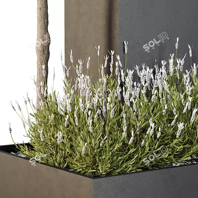 Greenery Garden Bushes Tree Pack 3D model image 3