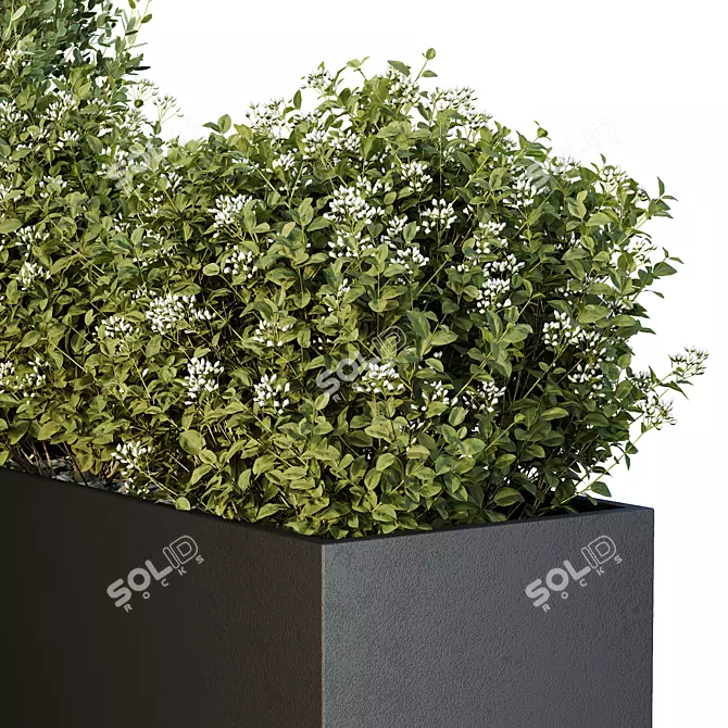 Greenery Garden Bushes Tree Pack 3D model image 4