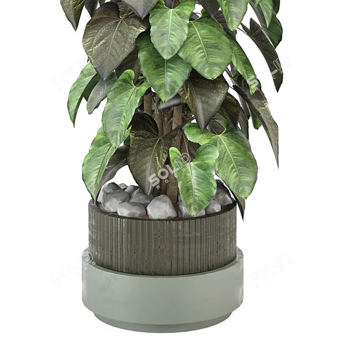 Indoor Plants Set 1148 3D 3D model image 2