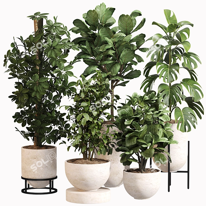 Modern Indoor Plant Set 034 3D model image 1