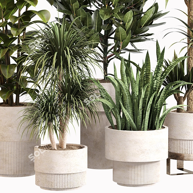 Modern Indoor Plant Set 033 3D model image 2