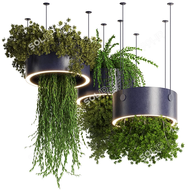 High-Quality Hanging Plant Set 3D model image 1