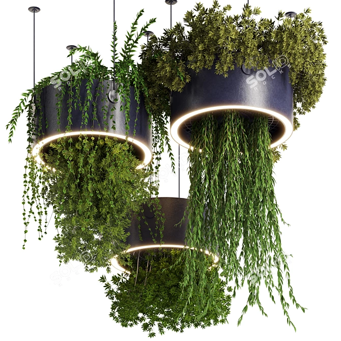 High-Quality Hanging Plant Set 3D model image 2