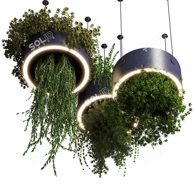 High-Quality Hanging Plant Set 3D model image 3