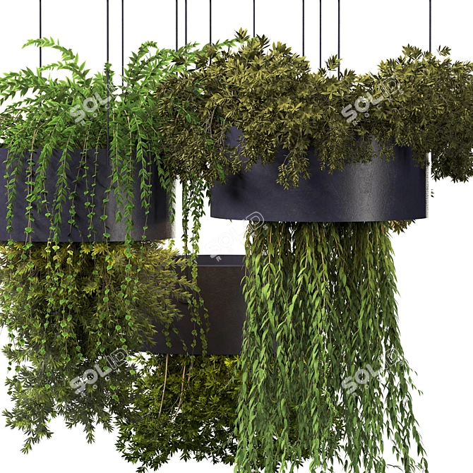 High-Quality Hanging Plant Set 3D model image 4