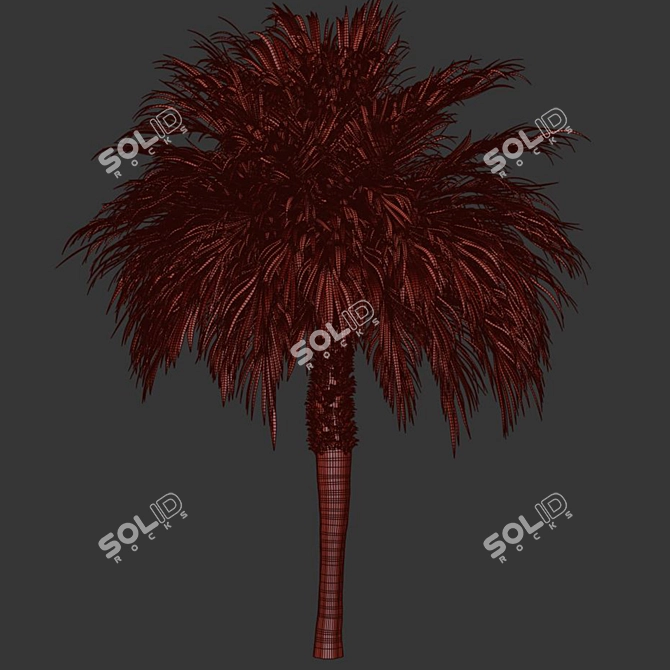 Tropical Palm Tree 3D Model 3D model image 3