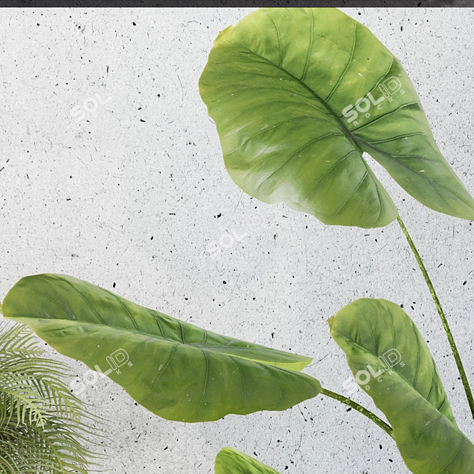 Elegant Indoor Garden and Decor 3D model image 7