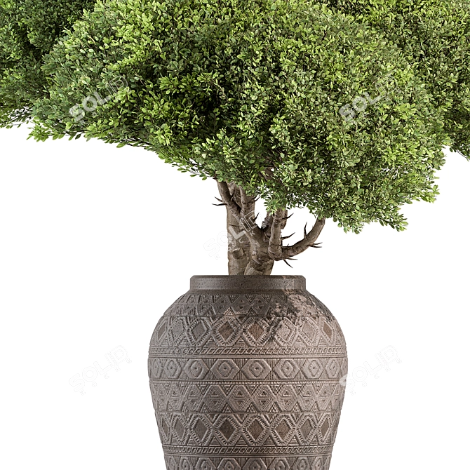 Topiary Ball Indoor Plant 656 3D model image 3