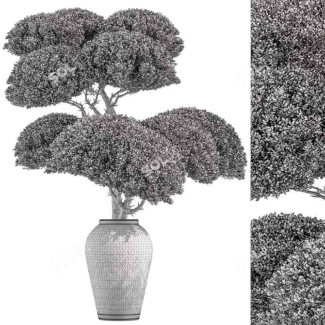 Topiary Ball Indoor Plant 656 3D model image 4