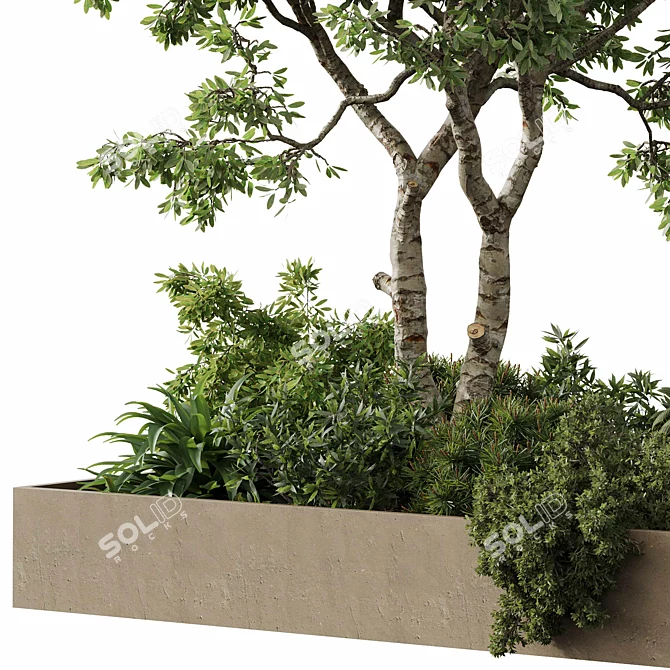 Outdoor Plant Set 29 Bundle 3D model image 2