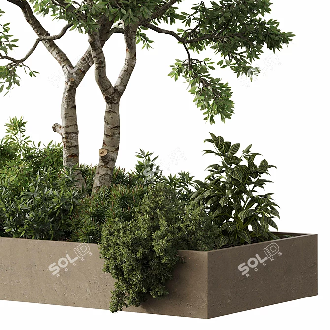 Outdoor Plant Set 29 Bundle 3D model image 3