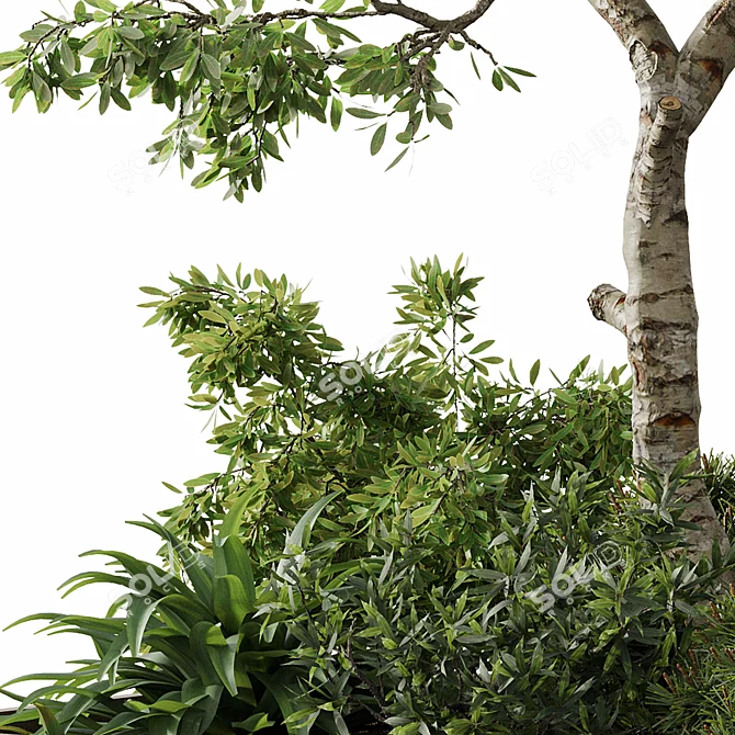 Outdoor Plant Set 29 Bundle 3D model image 5