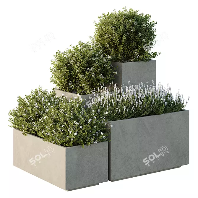 Garden Box Tree Bush Models 3D model image 1