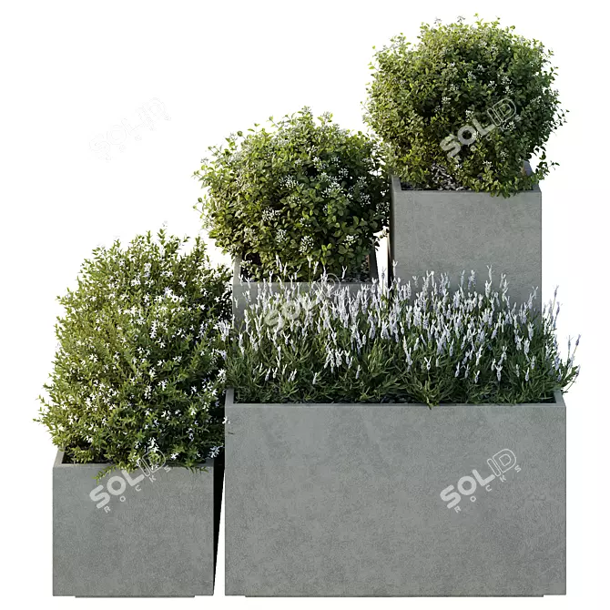 Garden Box Tree Bush Models 3D model image 2