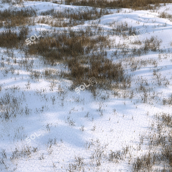 Snow-Covered Grass Ground Asset 3D model image 1