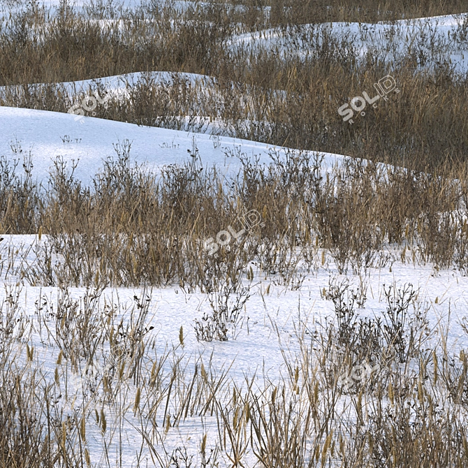 Snow-Covered Grass Ground Asset 3D model image 2