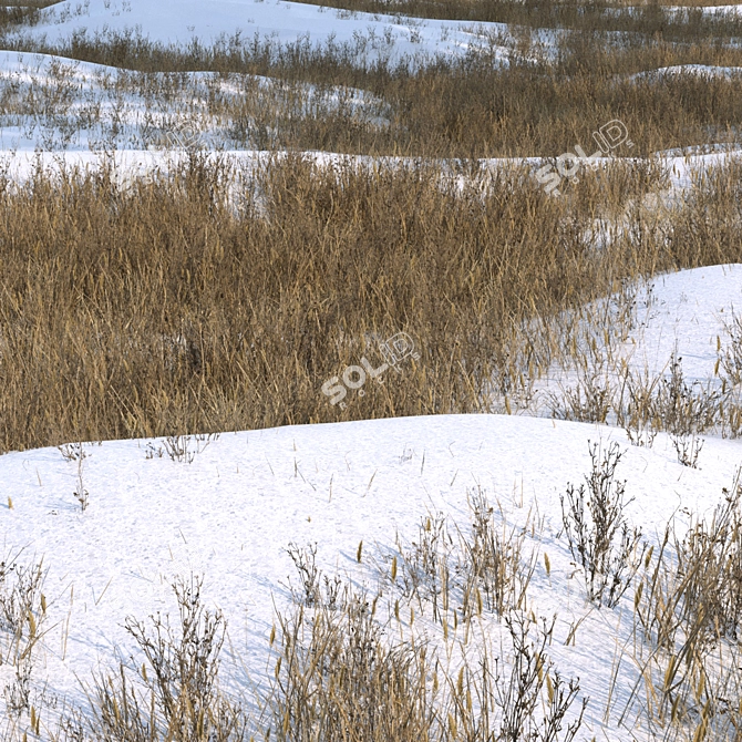 Snow-Covered Grass Ground Asset 3D model image 4