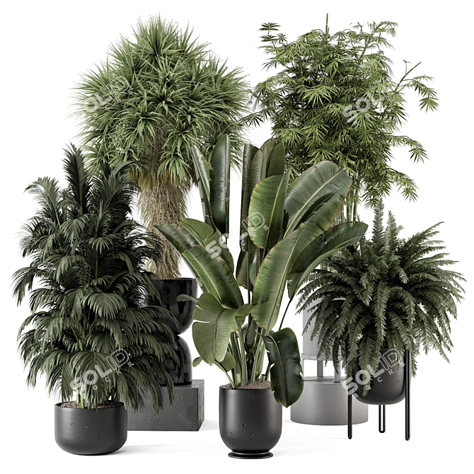 Rusty Concrete Pot Indoor Plants 3D model image 1