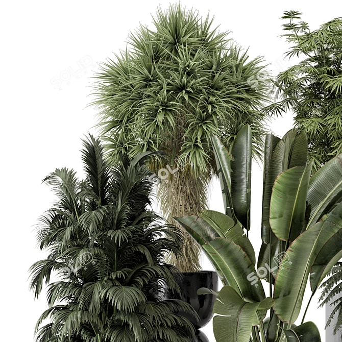 Rusty Concrete Pot Indoor Plants 3D model image 3