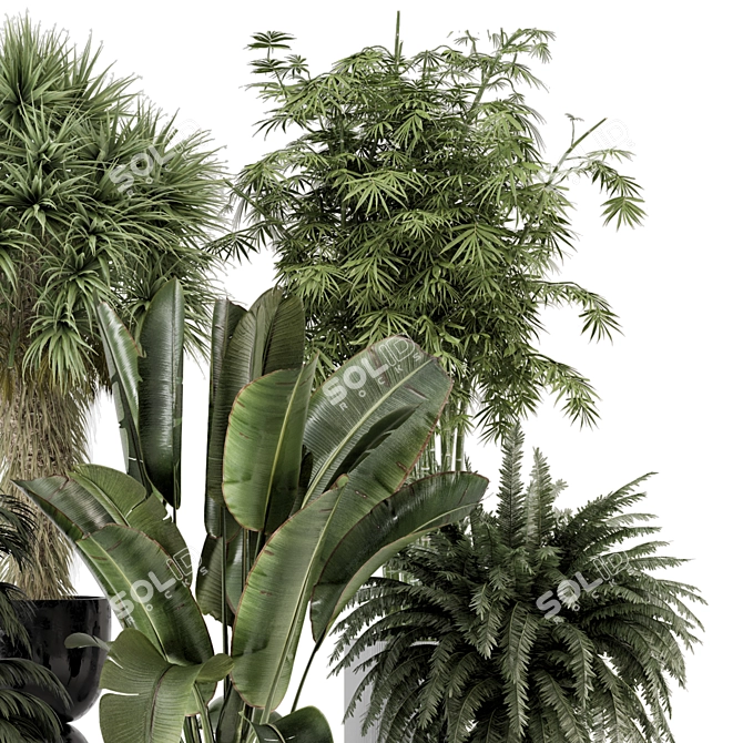 Rusty Concrete Pot Indoor Plants 3D model image 4