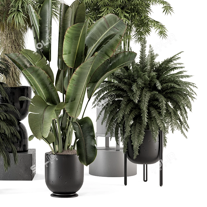 Rusty Concrete Pot Indoor Plants 3D model image 5