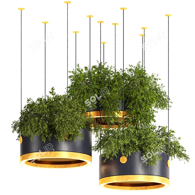 Premium Hanging Plants 3D Model 3D model image 1